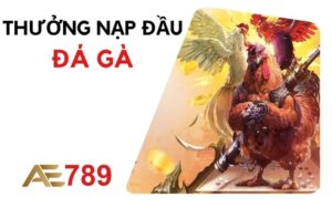 Thưởng nạp đầu đá gà tại AE789